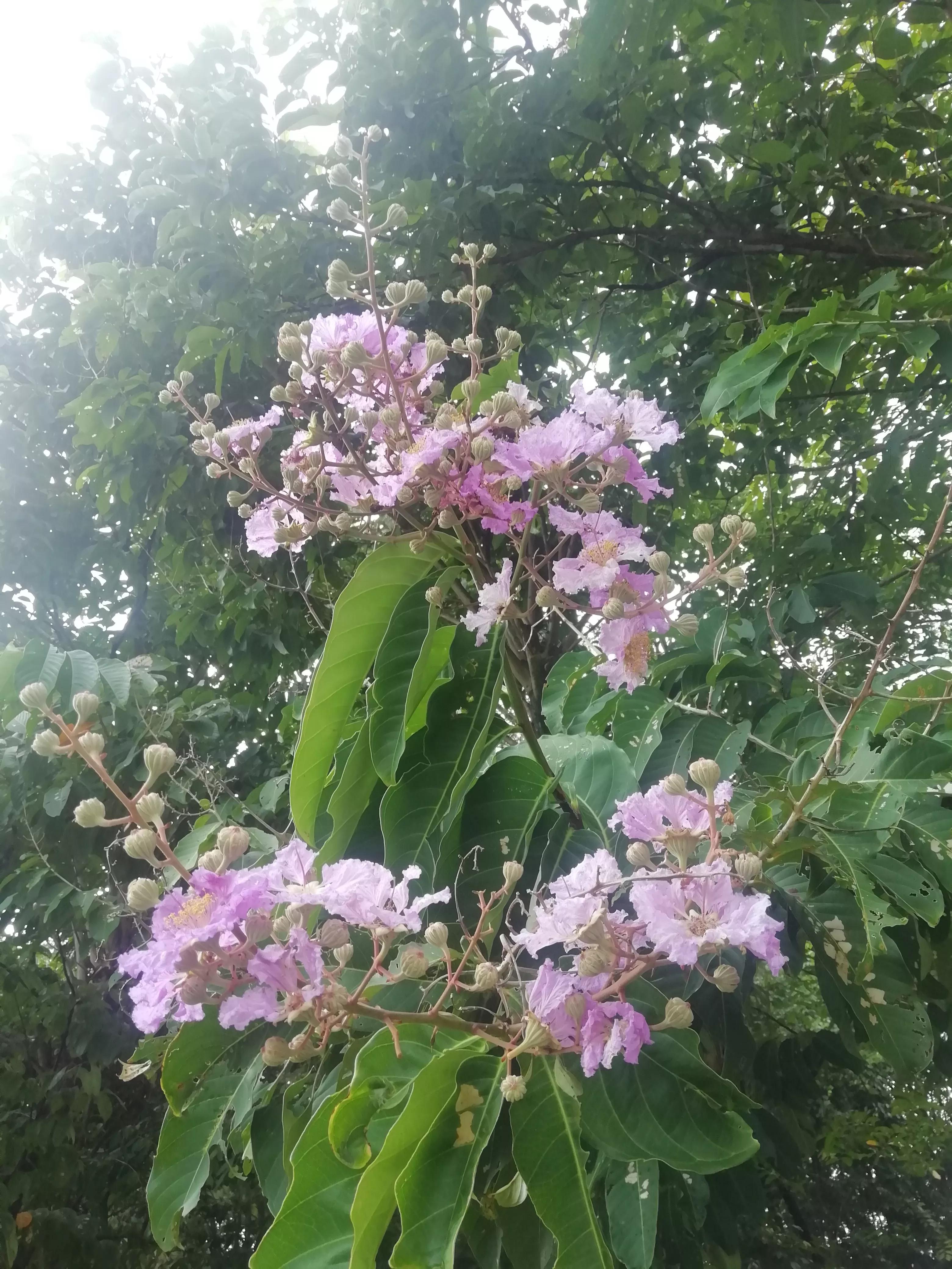 健康又快速减肥食谱,快速健康减肥一日三餐