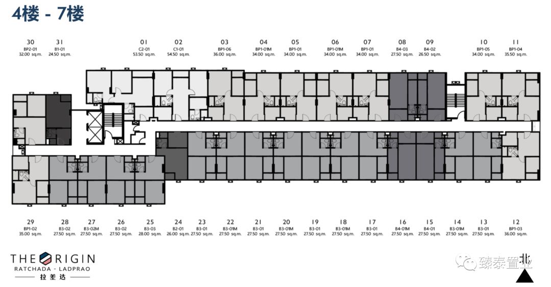 年轻生活！THEORIGIN拉差达性价比之王