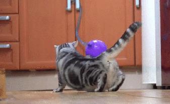 羽绒服脏了直接用毛巾擦可以吗,白色羽绒服特别脏干洗店能搞定吗