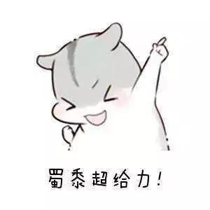 邯郸市公安分局破获特大诈骗案,邯郸大名县真实案件