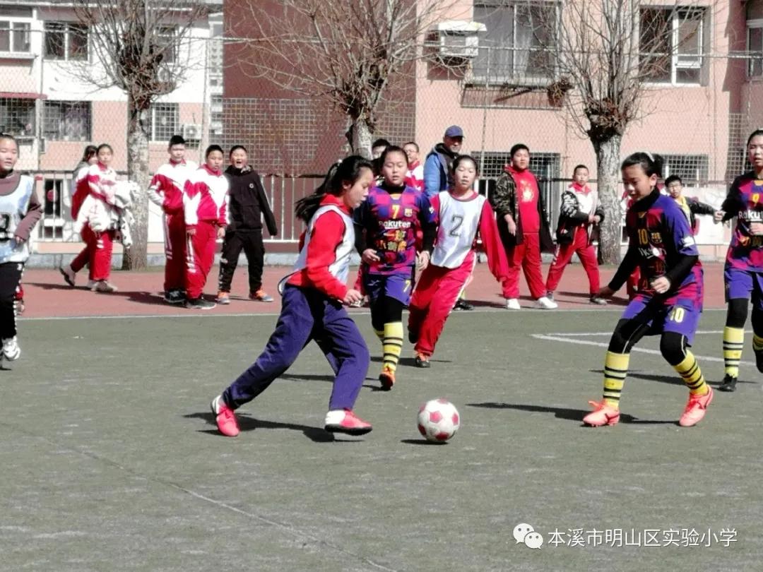 本溪市溪湖区小学生足球联赛,本溪市小学足球联赛视频