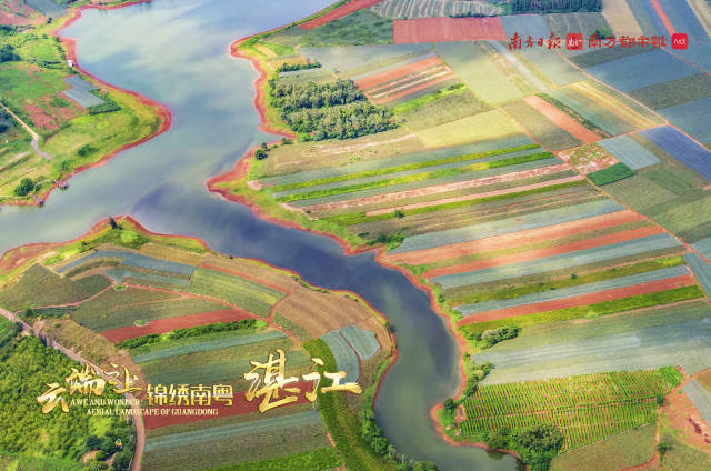 25秒高空俯瞰解锁“云上青岛”,云上瞰广东