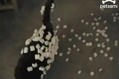 男生永远不懂女生的脆弱,男生永远不会懂女生的良苦用心