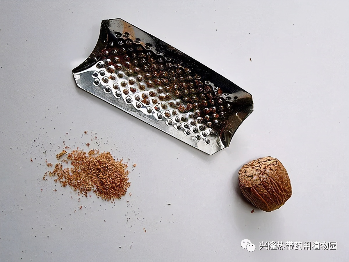 南药科普视频,南药科普