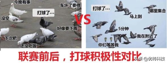 报！这场大赛，场面火爆