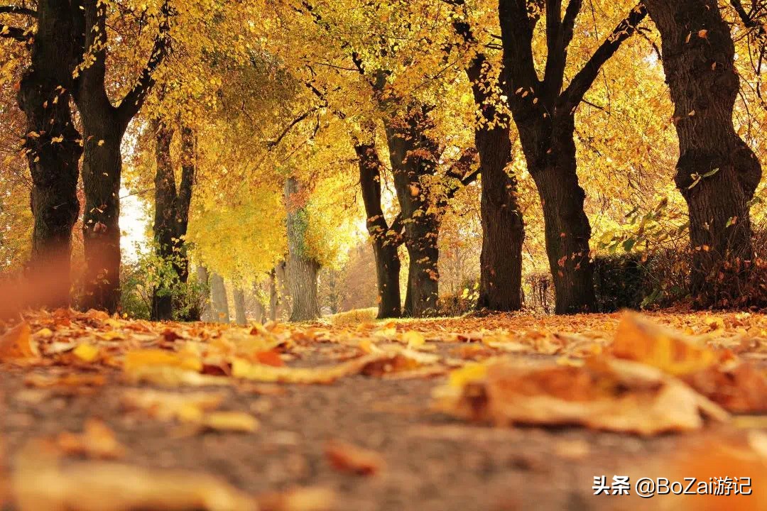 广西乡下田园最美风景图片,广西十大最美风景区