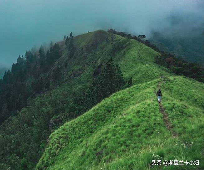 中国人在斯里兰卡遭遇危险,斯里兰卡疫情最新真实状况