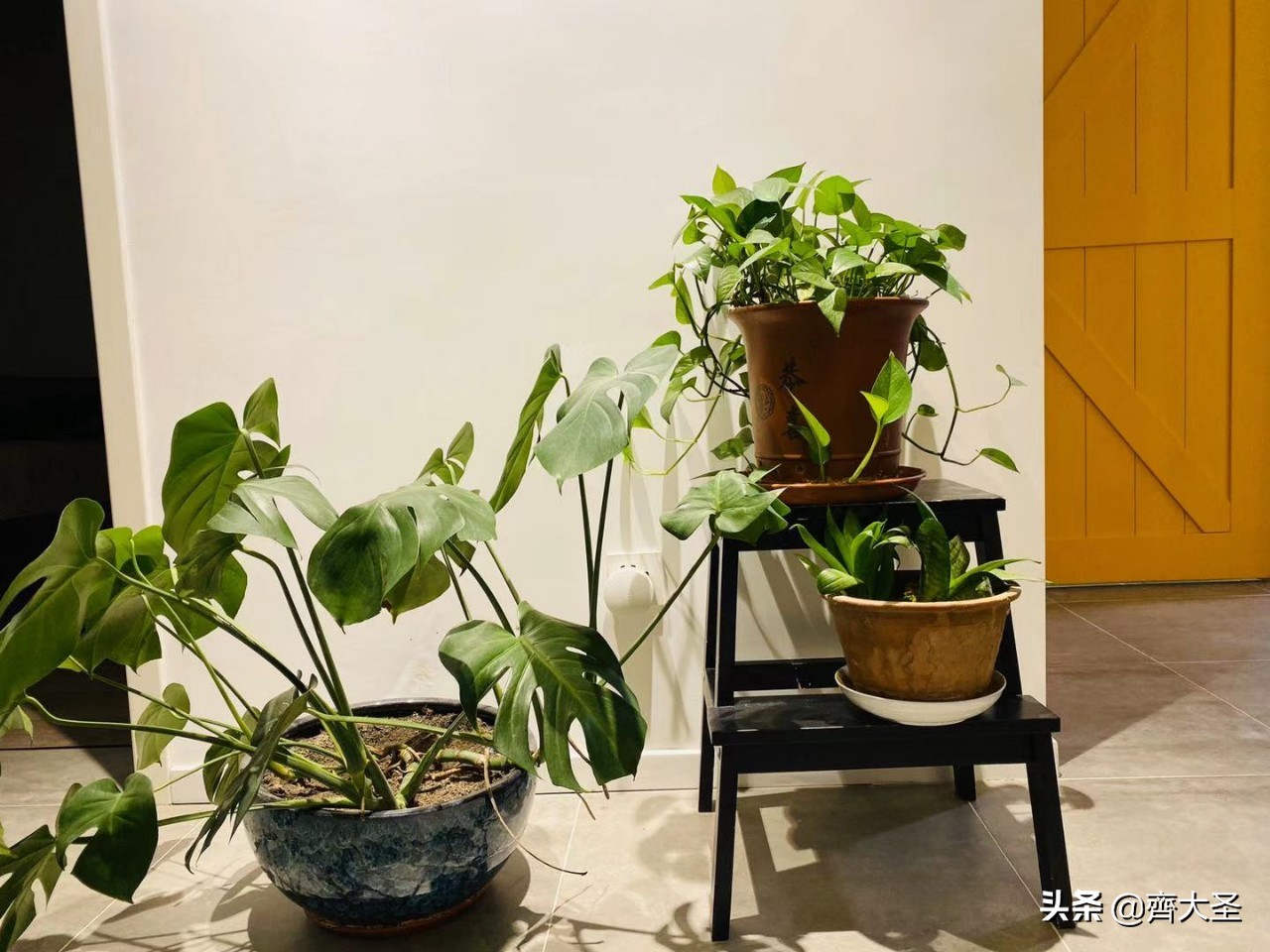 宜家红黑榜最新视频,宜家厨房红黑榜