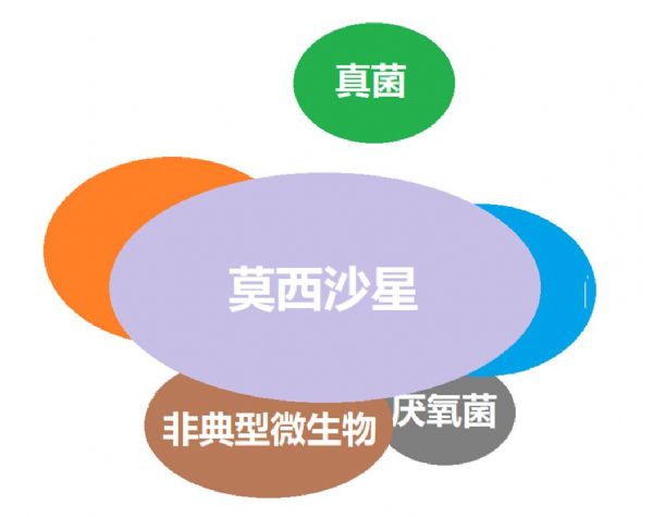 看图“话”抗菌谱，赶紧收藏