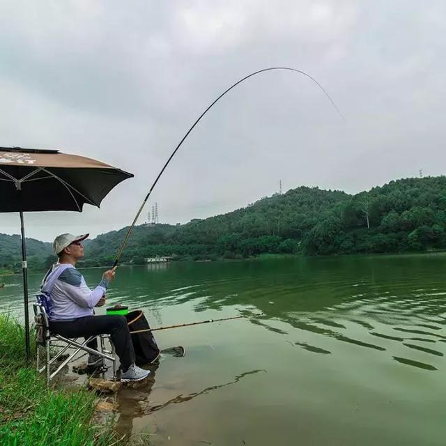 鱼竿的选择,8.1米鱼竿水库钓鱼需要几h的鱼竿