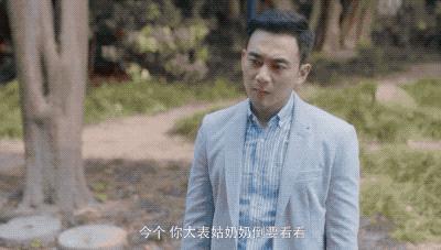 安家大结局有多少集,安家大结局解说