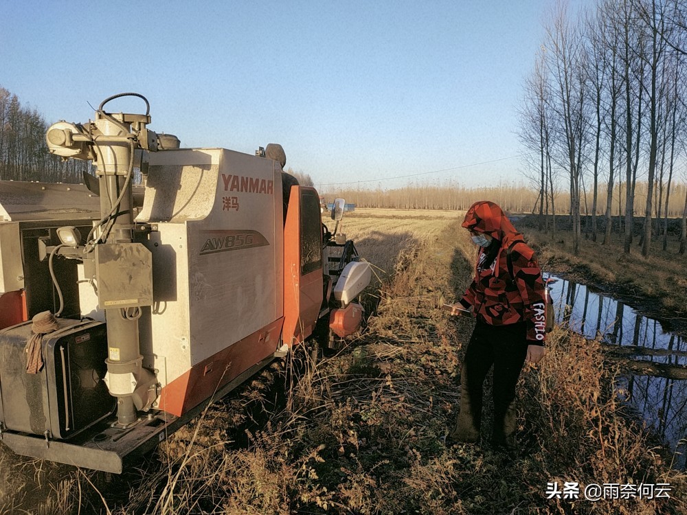 来到*今条头日**已经快2年了，感谢全部的粉丝家人们，谢谢你喜欢我