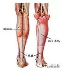 经常在运动过程中小腿发软怎么办,运动完怎么拉伸小腿才不会变粗
