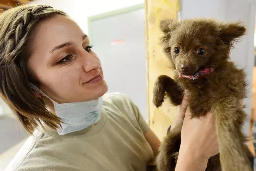 训犬狗狗不听话,爱训犬