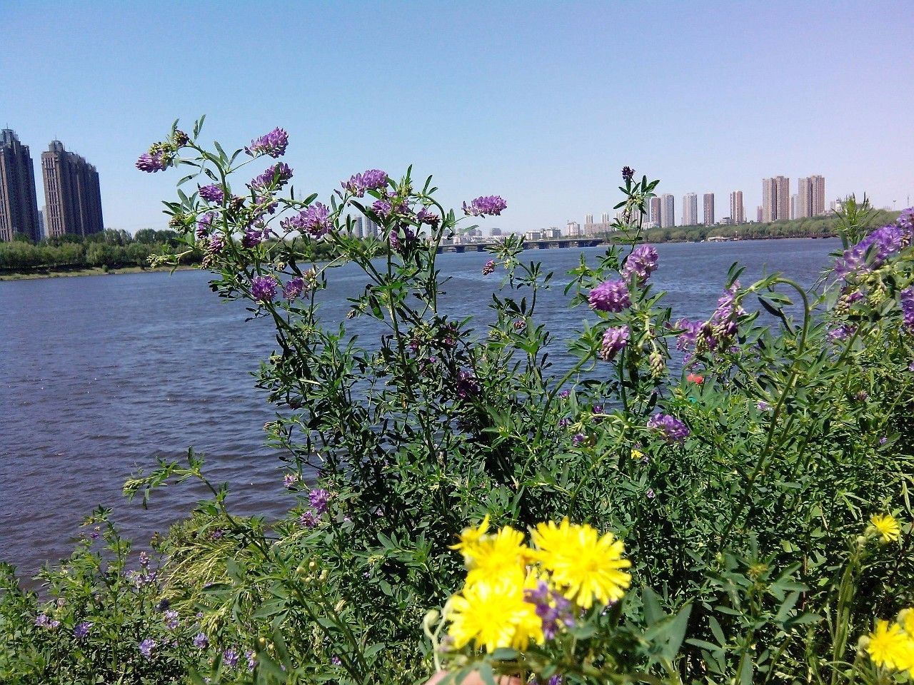 我与祖国共同奔跑视频,我与祖国共奔跑