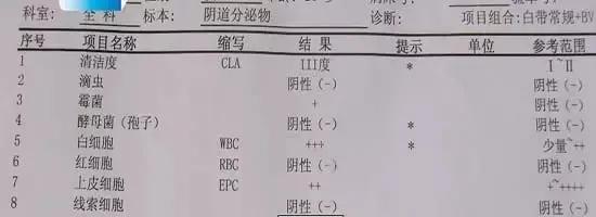 白带常规bv报告如何看,白带常规检查教学视频