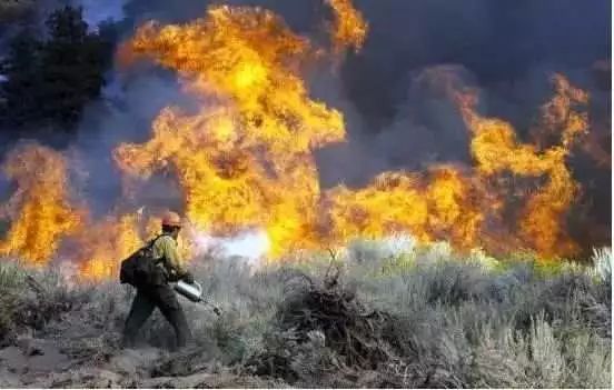 中国山火对比国外山火,一场大火难倒全美国真实视频