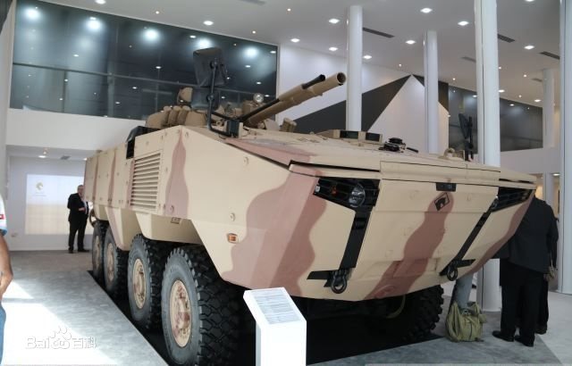 照猫画虎可以做什么,照猫画虎能成功吗