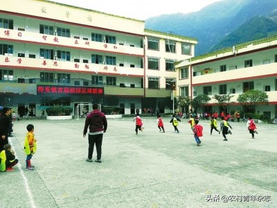 山鹰展翅飞,山鹰展翅翱苍穹