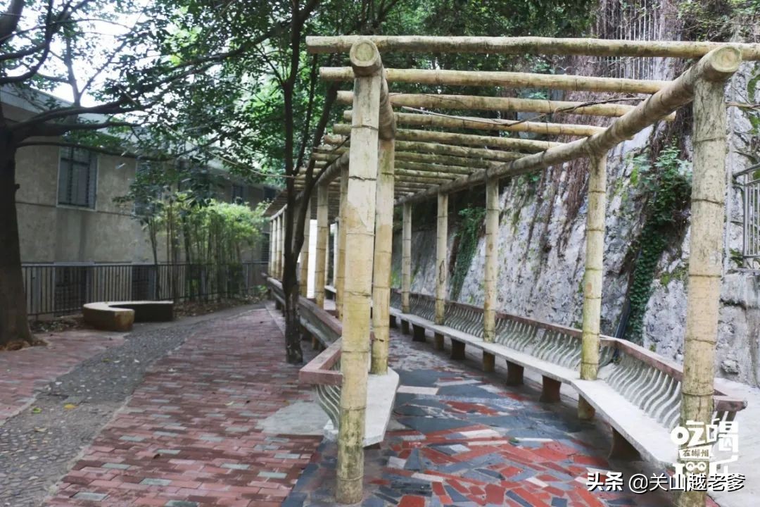 郴州市八中好不好,郴州八中在哪里