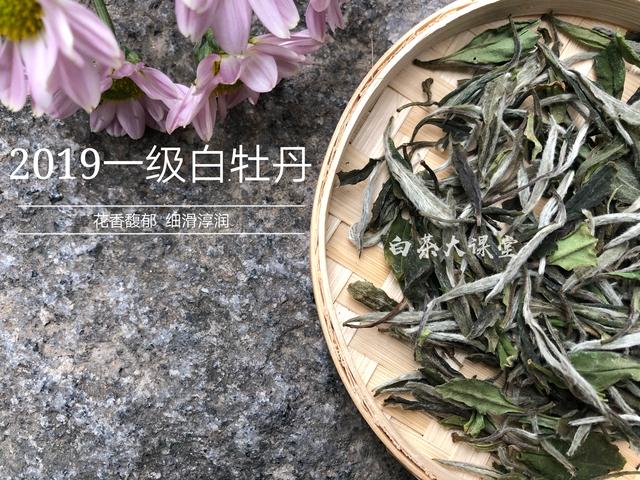 为白茶中的茶梗平反，虽然不好看，对味道却大有贡献