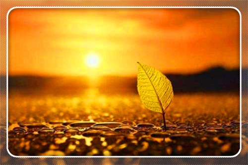 当一个人在低谷期如何破局,当一个人处于低谷的时候如何安慰