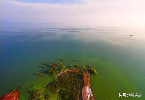 合肥市聪颖城市三年行动计划,合肥功能齐全的聪颖城市