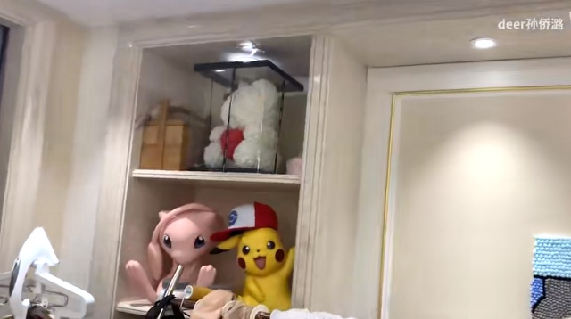 孙侨潞去世前住所曝光，衣帽间全是奢侈品，月租3万养好几只宠物