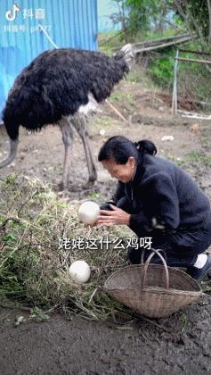 这群平均年龄超过70岁的“年轻人”,认真生活的样子真美