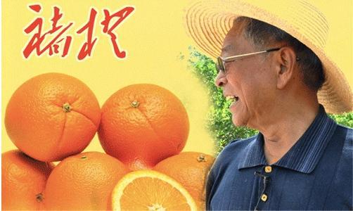 褚时健什么时候创建的褚橙,褚时健褚橙是全亚洲第一名吗