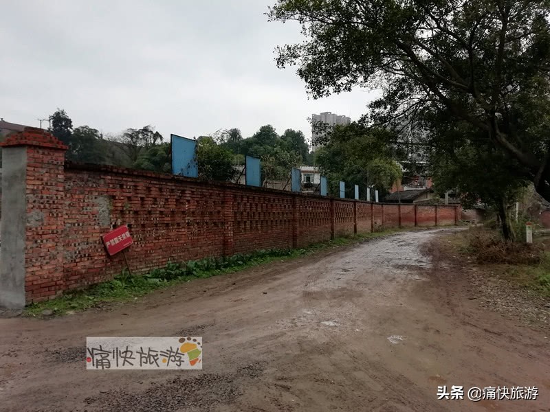 自贡桃花山学校,2014年自贡市桃花山学校