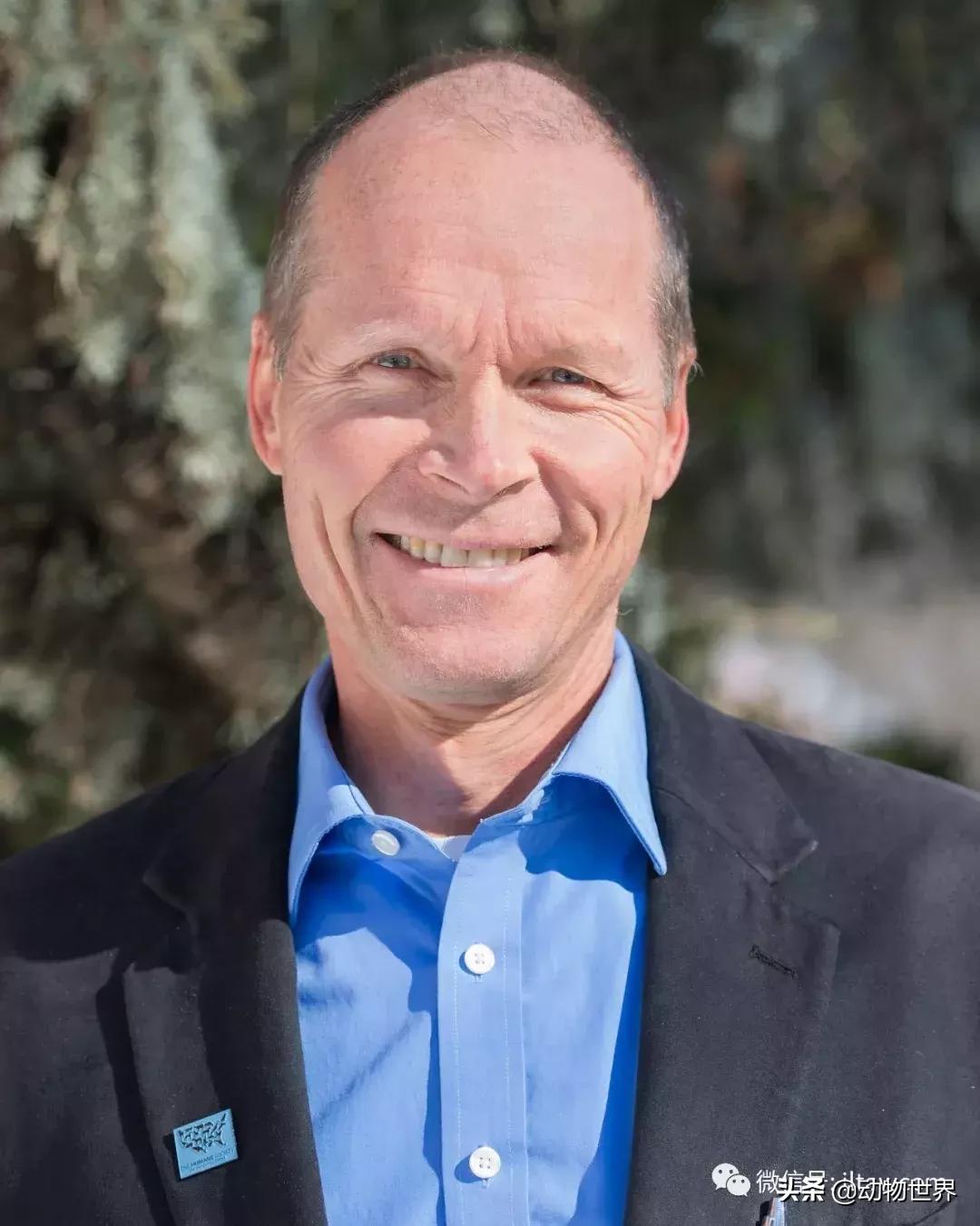 各种鱼的演化过程,3亿年前的鱼进化