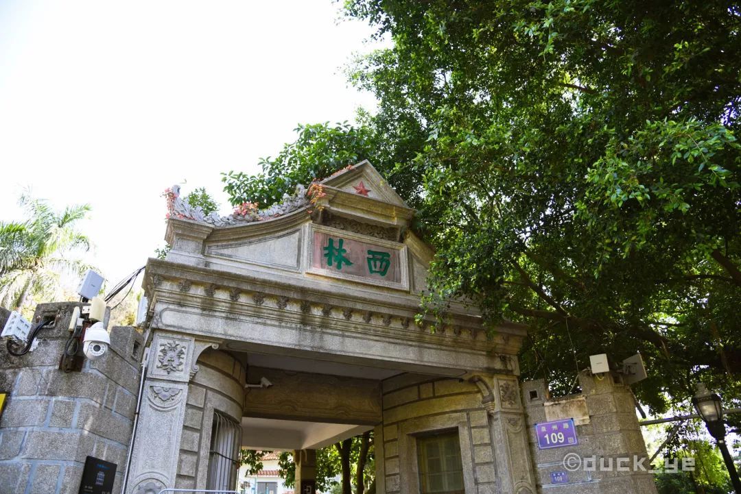 鼓浪屿一日游吃什么,鼓浪屿适合老人旅游攻略