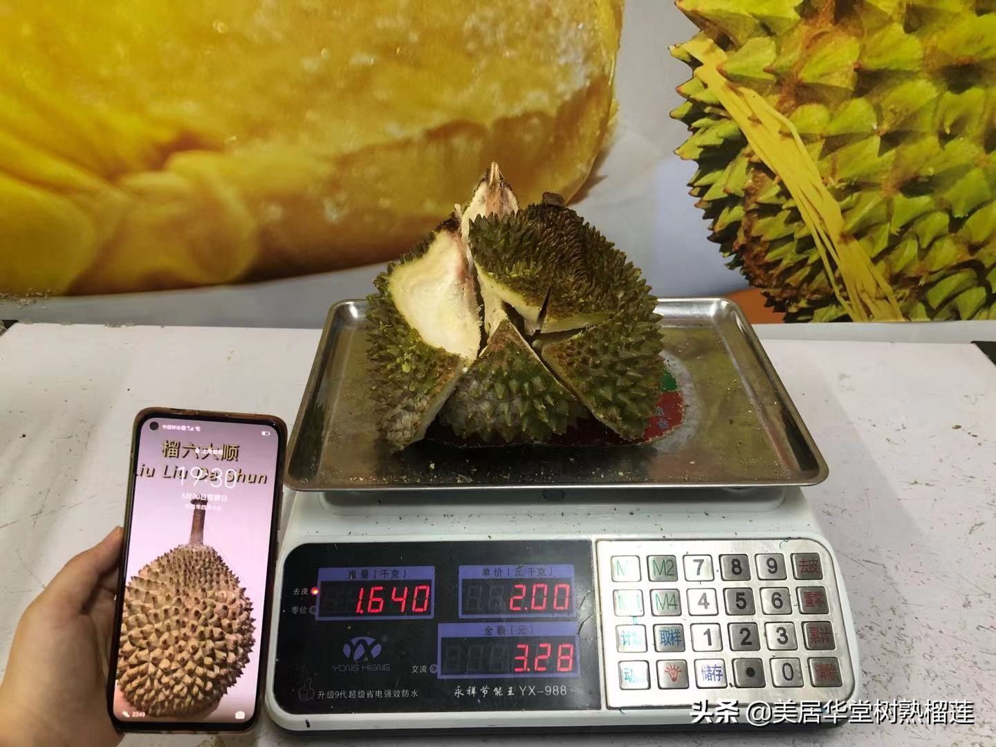 榴莲会缩水吗？亲测两天