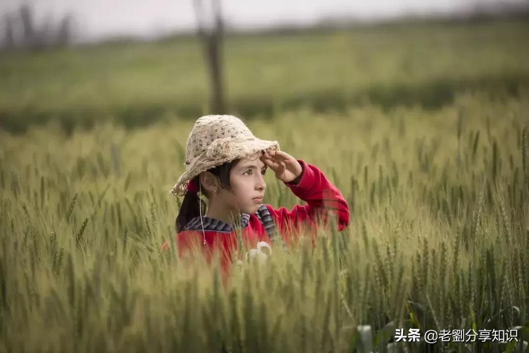 小学2年级应用题100道,小学二年级上应用题练习带答案