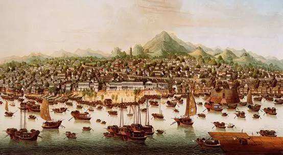 来自异国的“使者”：一片西洋参，一窥近代中美贸易的兴衰