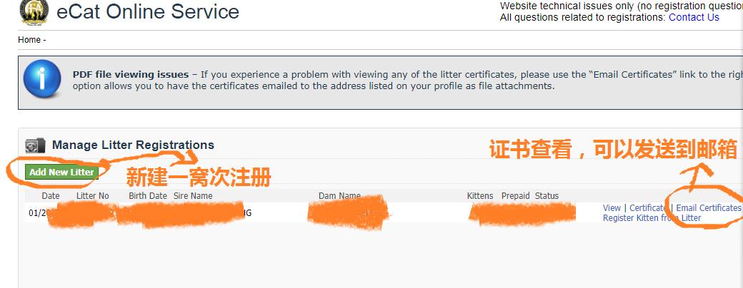 花重金买猫,花高价买的猫