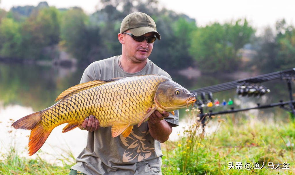 湖库海竿钓青鱼的技巧和方法,湖库野钓怎么使用海竿钓大鲤鱼