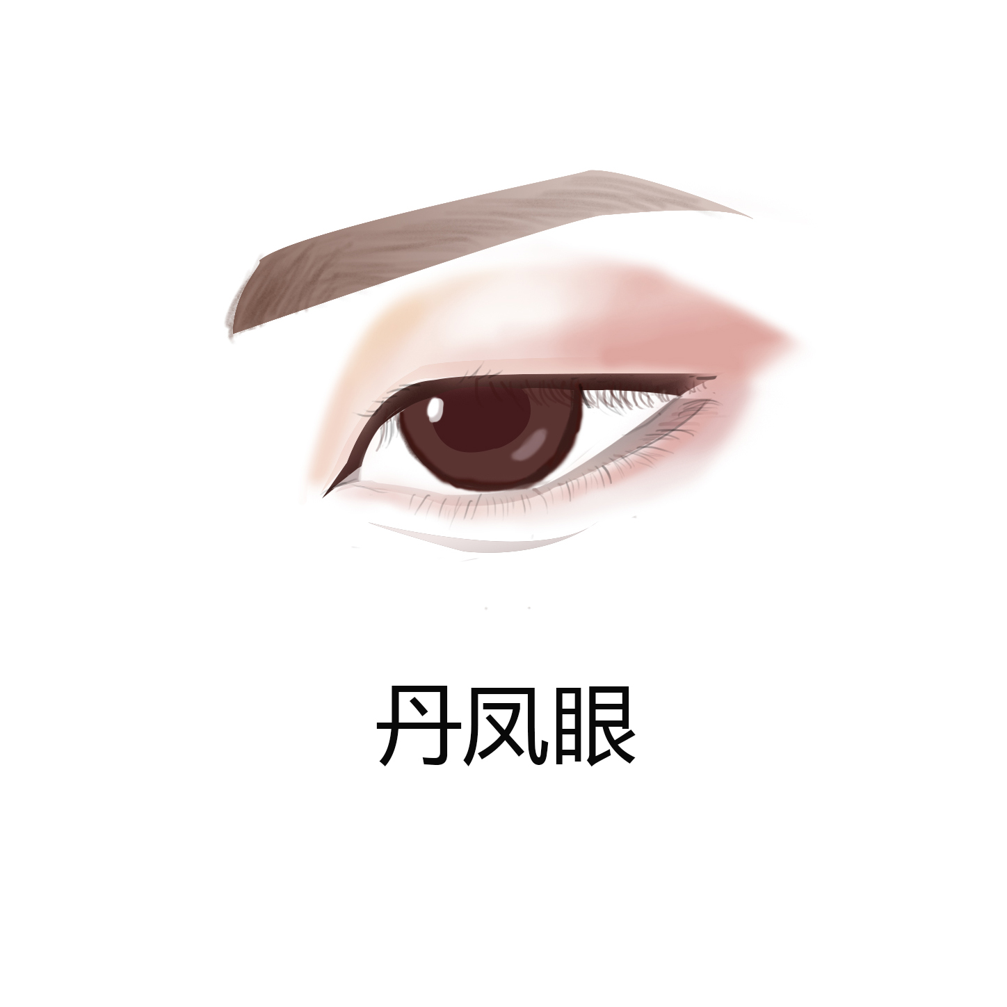 女人的几种眼型和性格,什么眼型的女人最好看