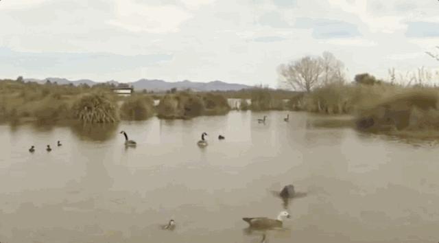 被囚34年取精，被迫亲手杀死爱子，最后只能挣扎着死去……