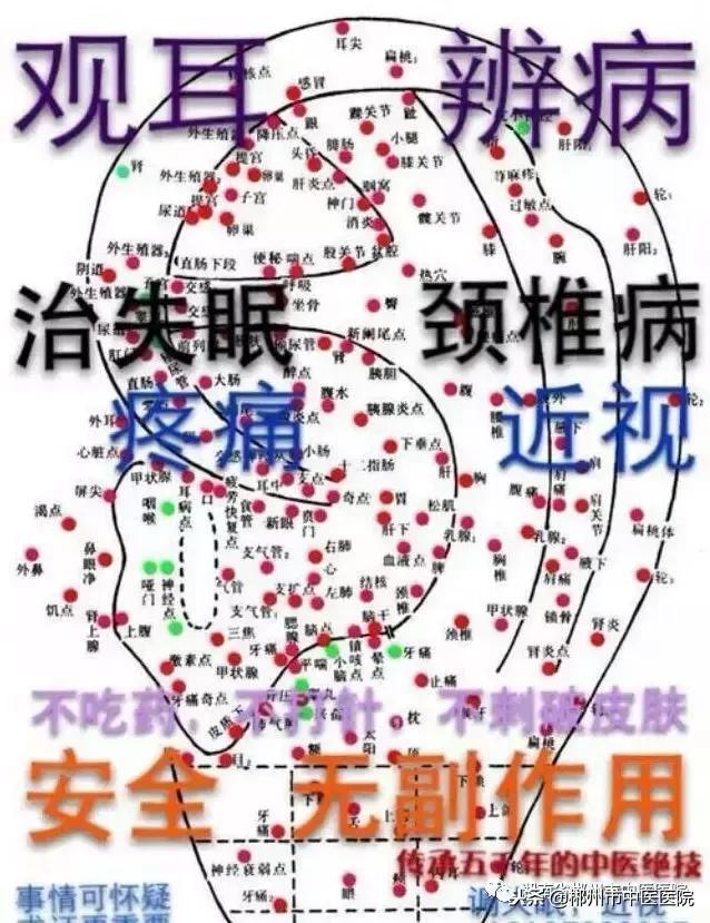 当豆豆遇上咖喱拌饭,当豆子遇见海螺