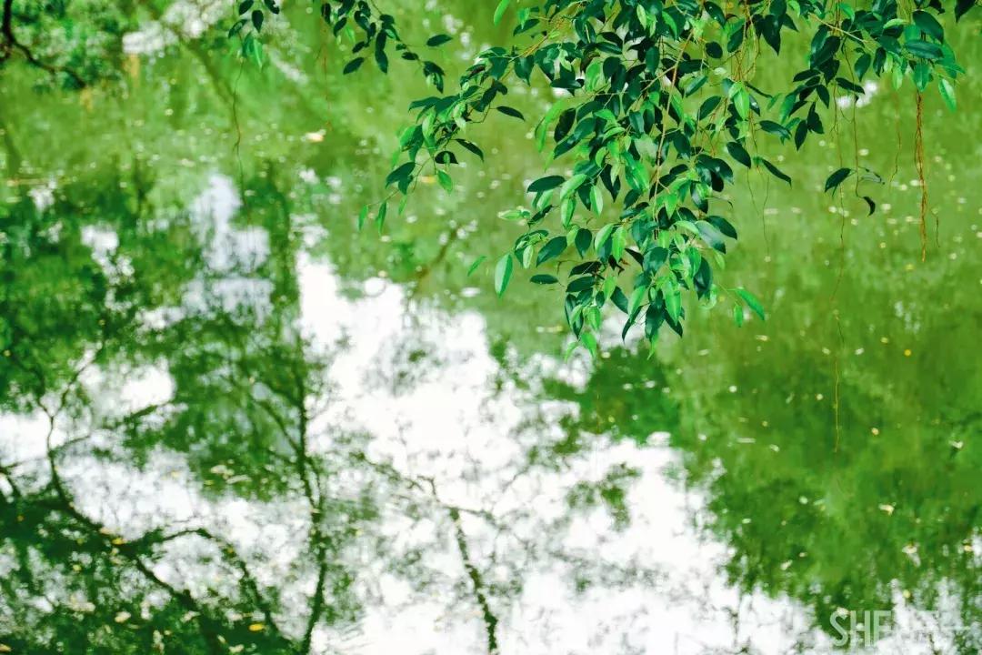 这里是东方世界,东门离这里有多远