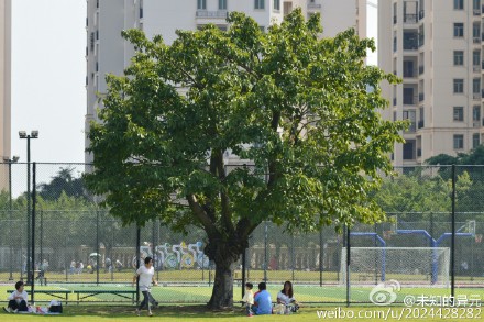 汕头赏花一日游最佳地,汕头最值得去的公园