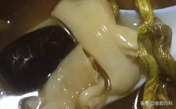 鱼胶煲汤的最佳配方,吃鱼胶宝宝