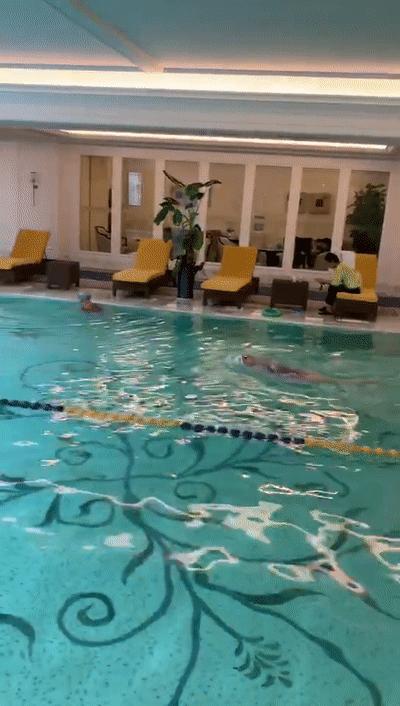 初学游泳有游泳圈,初学游泳浮起来了游不走