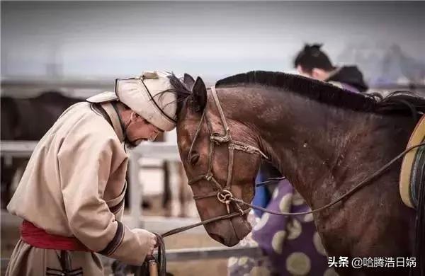 外国媒体列举蒙古人的14个实据