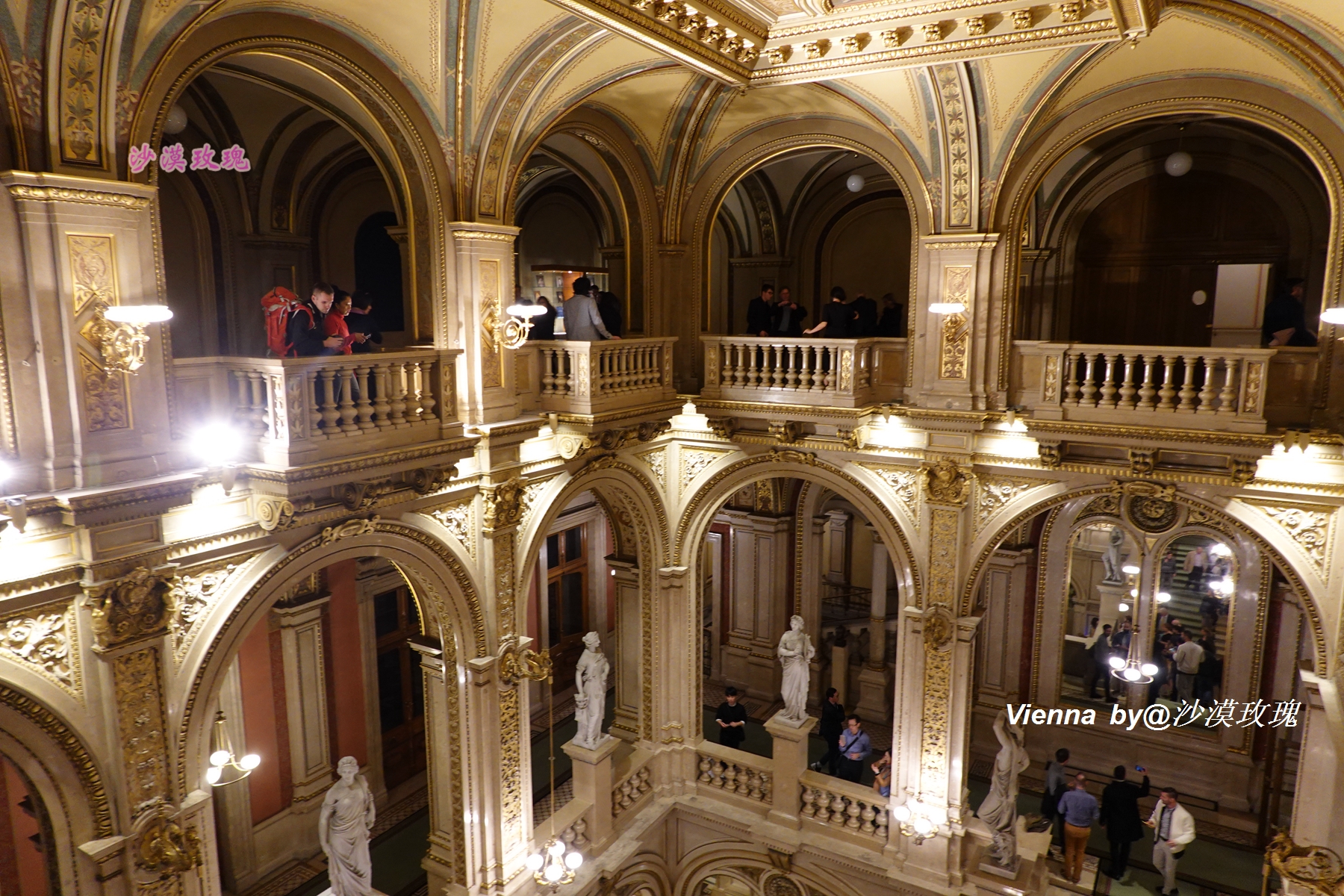 只要3欧元,就能在维也纳听一场世界级的音乐