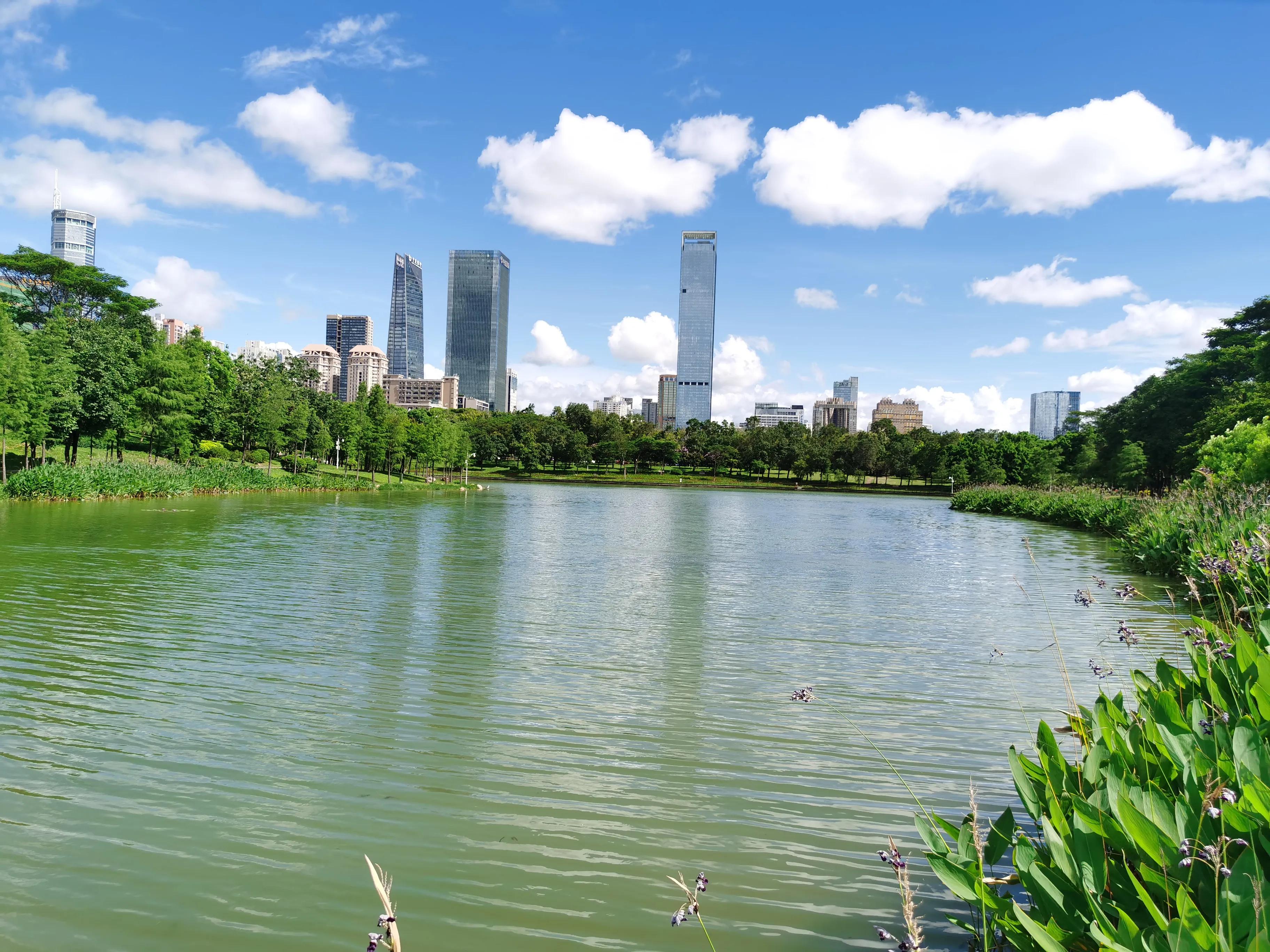 笔架山公园福田河,深圳笔架山福田河图片