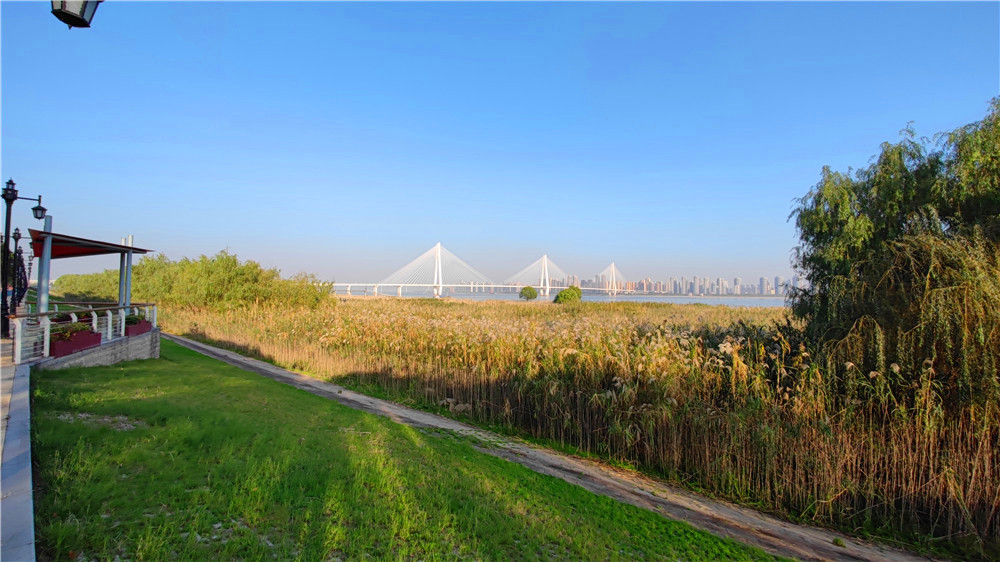 汉口江滩四期向游客开放,武汉打卡江滩公园