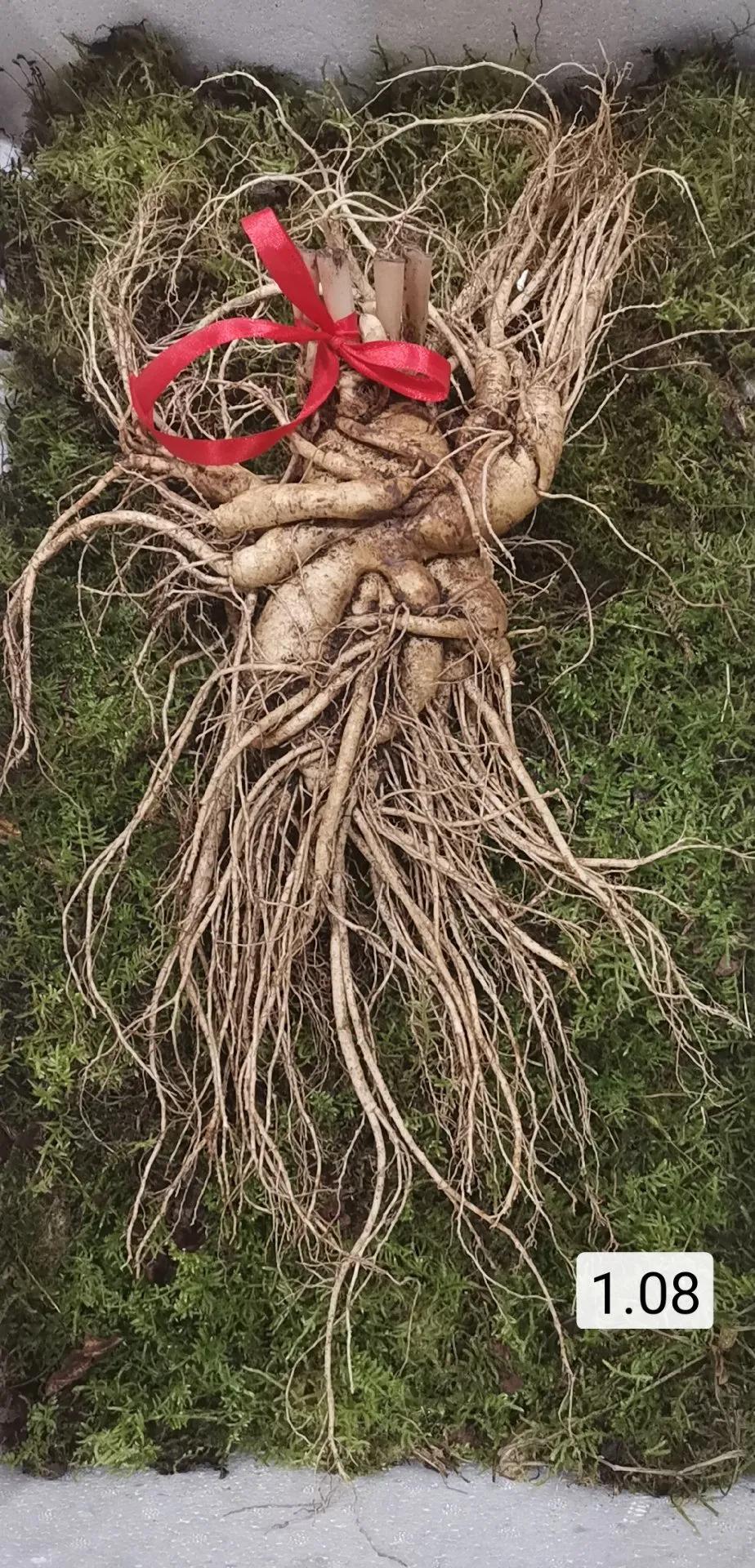 人参7两为参八两为宝什么意思,人参为什么说7两为参8两为宝